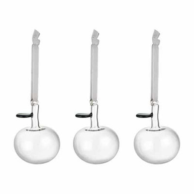 Glass Apple Ornament, Set of 3 Clear by Iittala