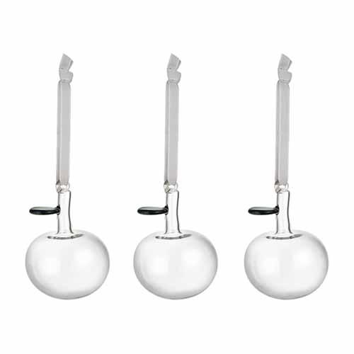 Glass Apple Ornament, Set of 3 Clear by Iittala